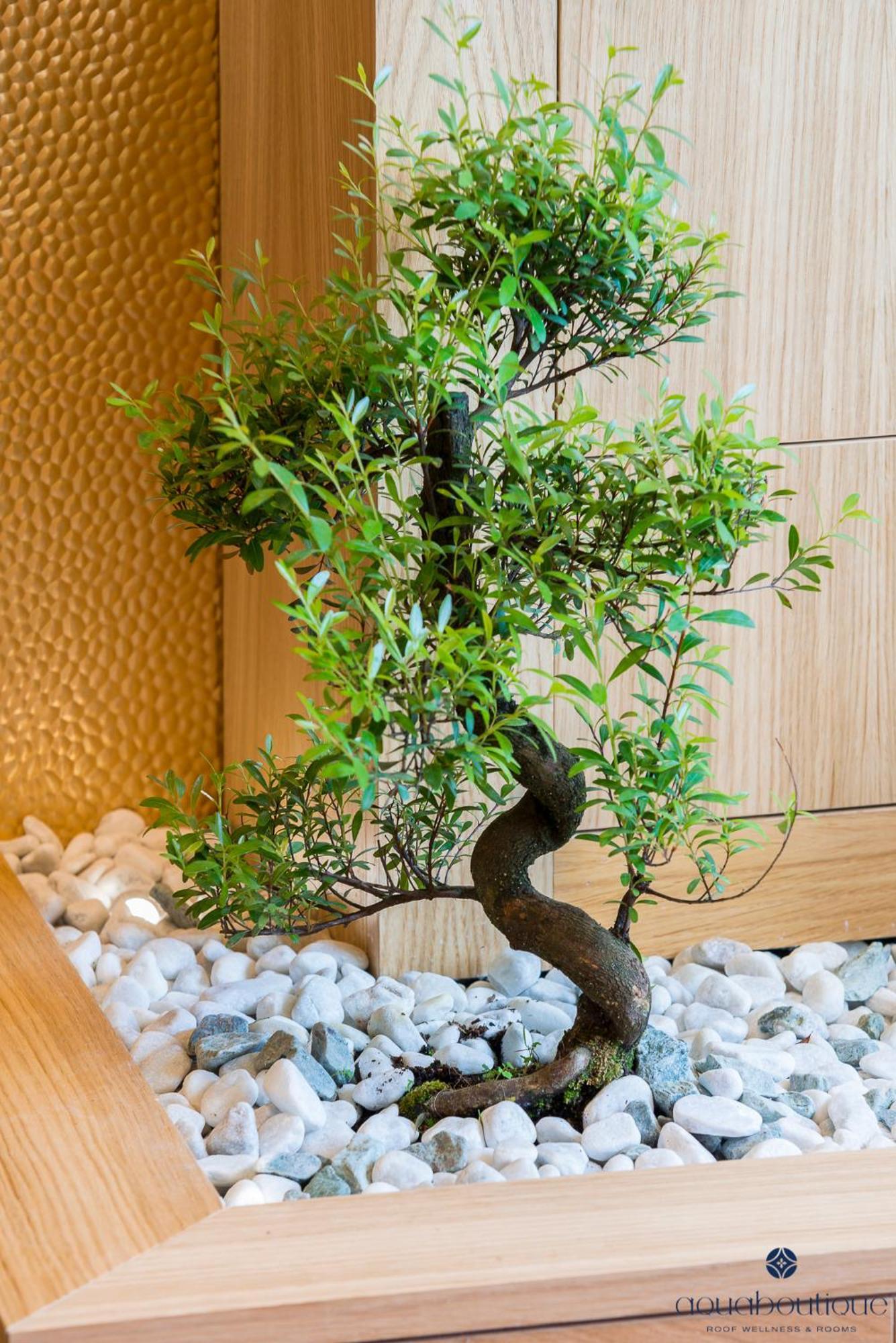 Aquaboutique Wellness&Spa Vietri Zewnętrze zdjęcie